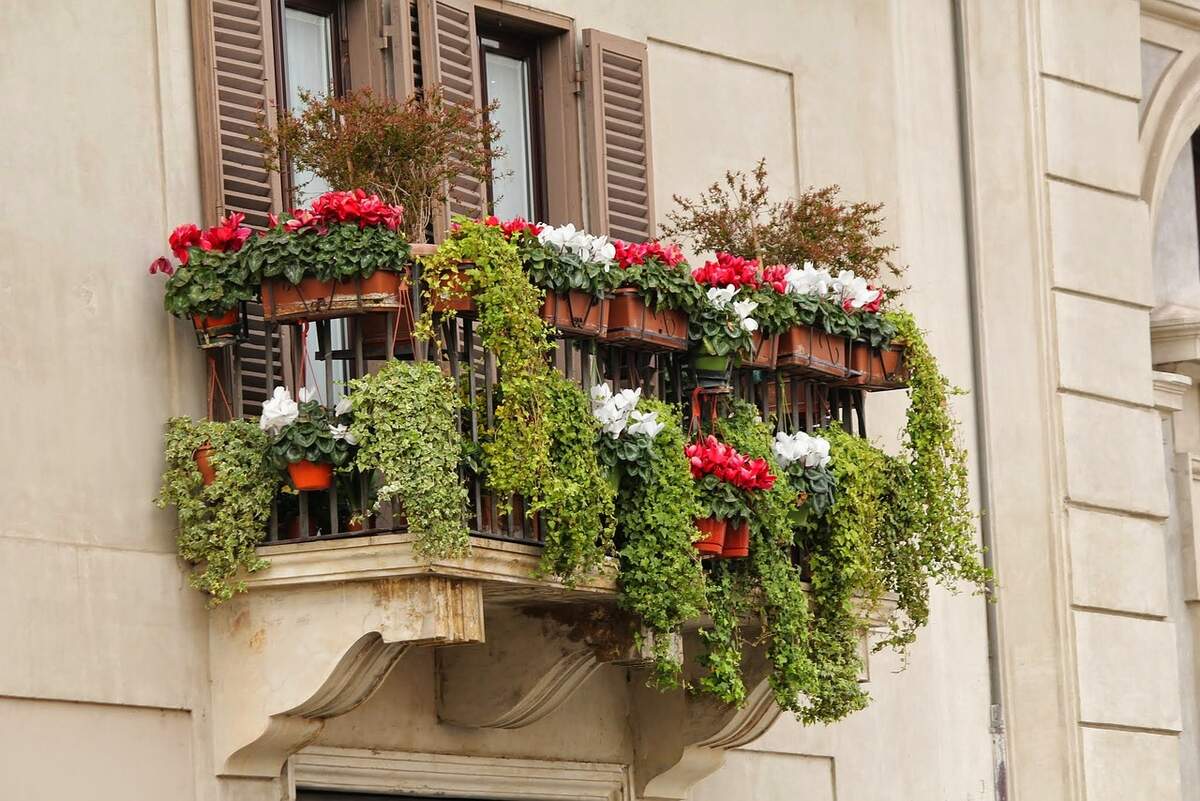 1 amenajare balcon - balcon mic de cladire veche amenajat cu ghivece de flori