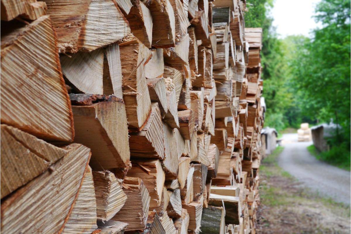 2. Depozitarea lemnelor in gradina - lemne, drum, copaci