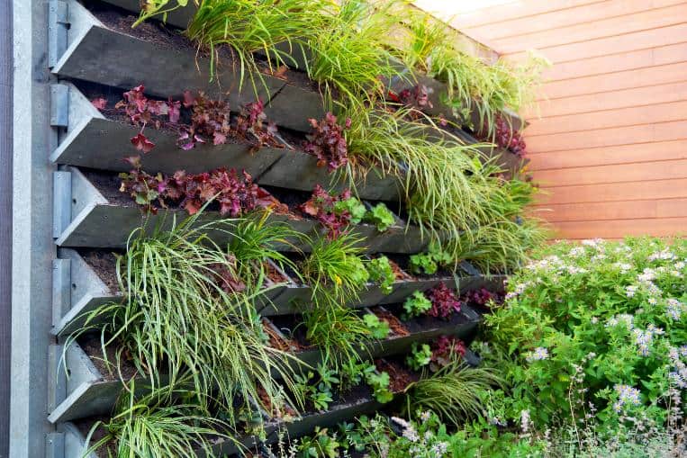 2. Gradini verticale exterioare - plante, perete portocaliu