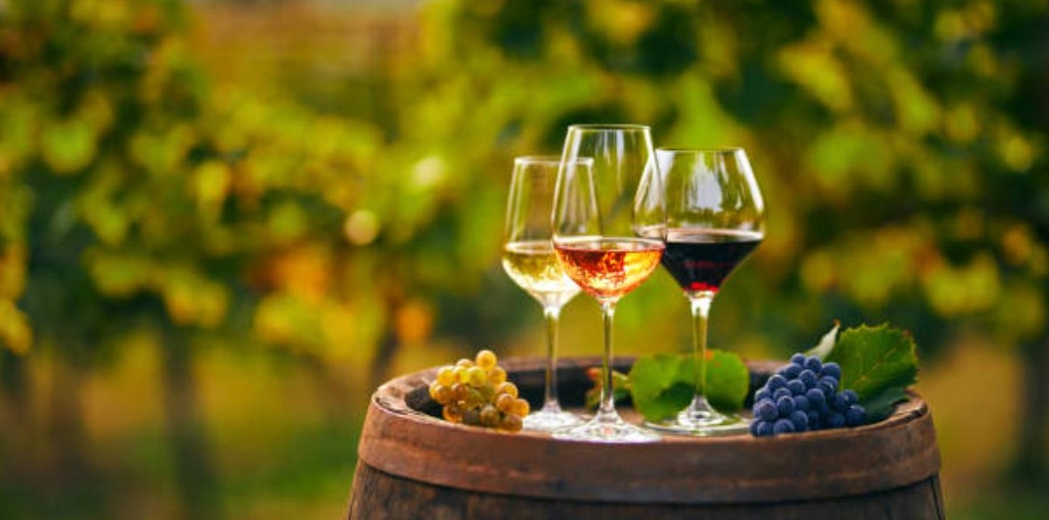 2. Tipuri de pahare de vin - practice si utile pentru a savura licoarea lui Bachus