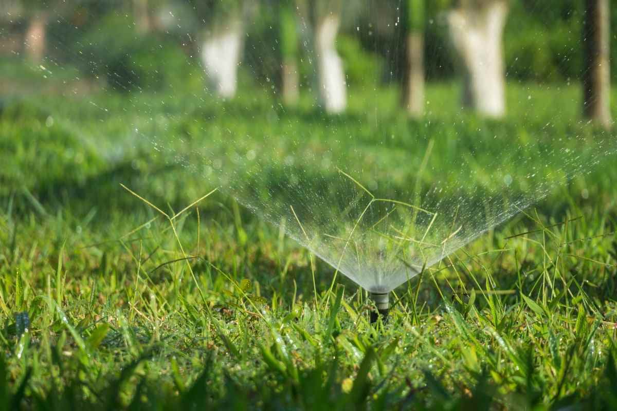 7. Udarea gazonului dupa insamantare - reguli esentiale_Sistem de irigatii, aspersoare, gazon