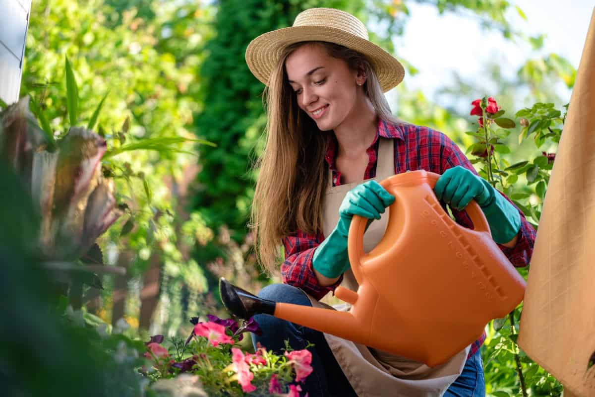 Pregatirea solului si plantarea plantelor sau arbustilor