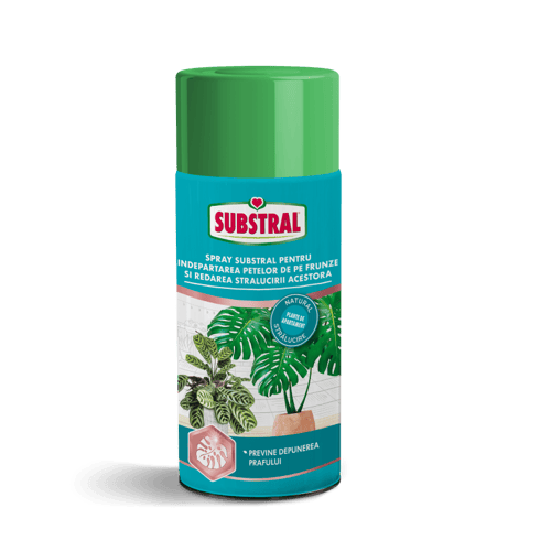 spray-pentru-indepartarea-petelor-de-pe-frunze-substral-200-ml